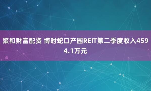 聚和财富配资 博时蛇口产园REIT第二季度收入4594.1万元
