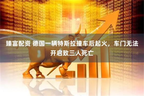 臻富配资 德国一辆特斯拉撞车后起火，车门无法开启致三人死亡